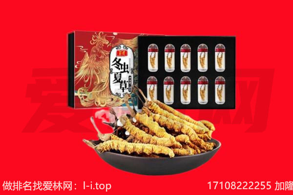 郫都区回收虫草.jpg